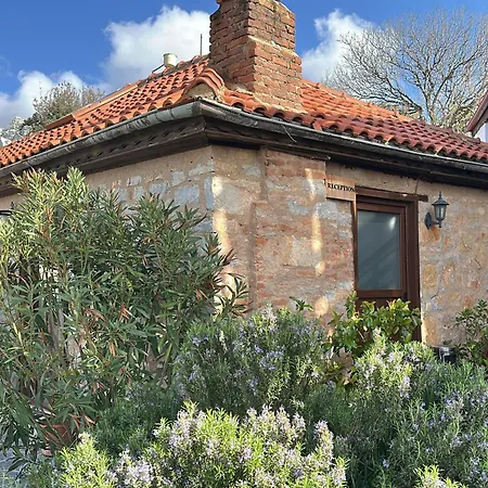 Gasthof Yediburunlar Lighthouse Boutique And Restaurant 5*