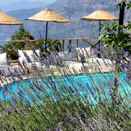 Отель Yediburunlar Lighthouse Boutique And Restaurant Фаралия